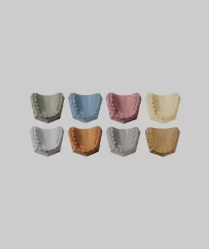 Whipmix Gypsums